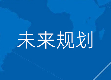 未来规划